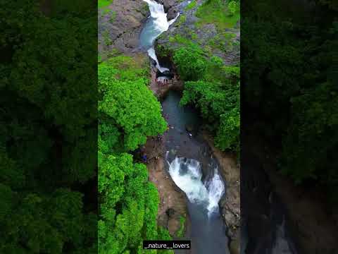 Secret Waterfalls, Tamhini Ghat, Pune #reels #waterfalls #sahyadri #maharashtra #maharashtratourism