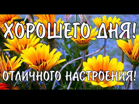 Доброго Дня Отличного Настроения! Открытки Добрый День! Самое Красивое Пожелание Удачного Дня!