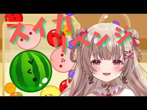 リベンジ！スイカ３つ作る！！〖胡桃ぬい〗