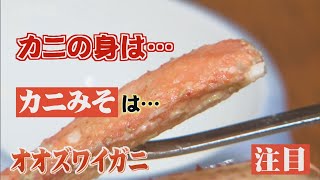 北海道で大量発生「オオズワイガニ」…1杯150円！カニ王国のプロが味を確かめてみた