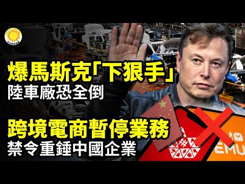 【財經】他驚爆馬斯克「下狠手」陸車廠恐全倒！原因讓人無法反駁；要求中國跨境電商暫停業務！禁令來了；讓錢變草紙！習近平在中央經濟會後豁出去了；川普效應：中國11月出口增幅腰斬，進口跌幅擴大【阿波羅網】