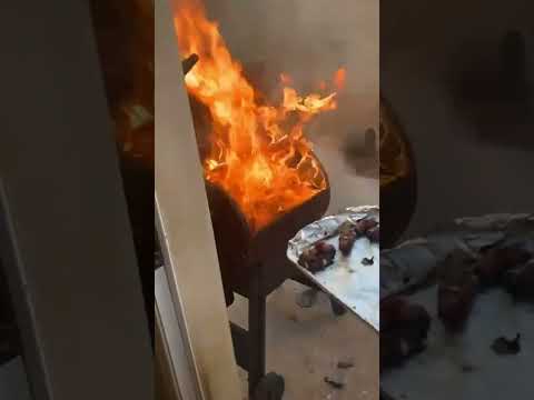 BBQ Disaster | #shorts #shortsvideo