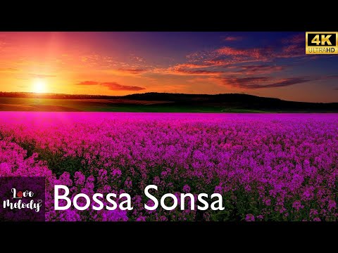 Bossa Sonsa (Audio)