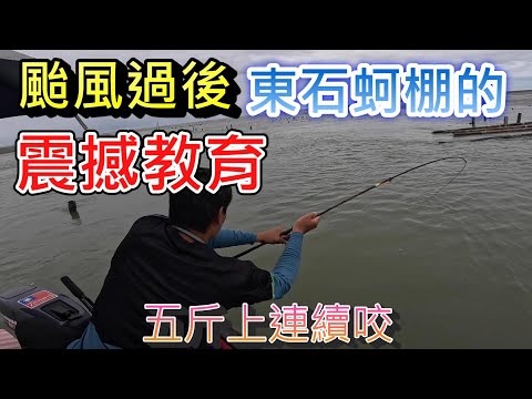 釣竿瞬間噴出消失了 一早來咬的都五斤級大魚 這地方竟然隱藏許多怪物