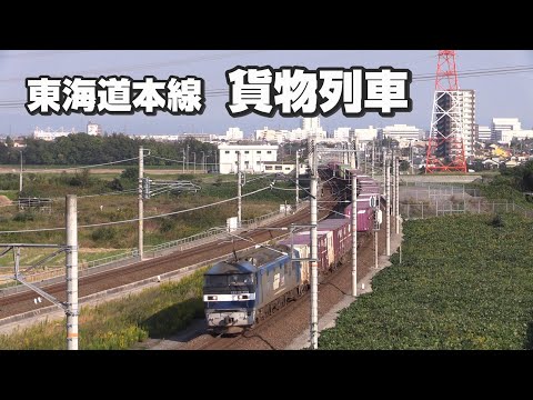 東海道本線を行く貨物列車 ②