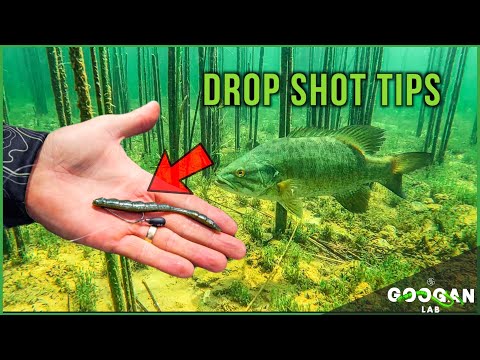 HOW TO RIG A DROP SHOT With NEW GOOGAN TERMINAL! ( BASS FISHING TIPS )