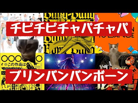 【猫ミーム】Creepy NutsのBling-Bang-Bang-Bornから始まる‼個人的に結構好きな曲集めただけのメドレー！（ハッピーな曲もあるよ♪）