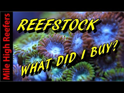 Corals We Bought at ReefStock and 5 Gal Tank Crash Reef Vlog