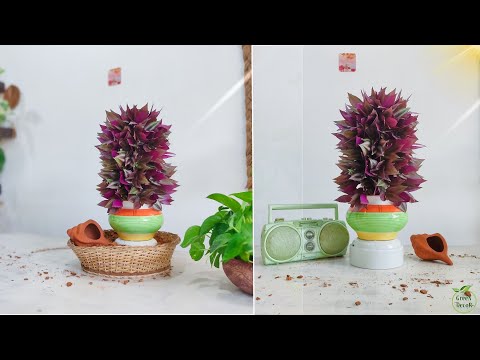 Office Inch Plant Decor Ideas for Green Working Environment | Best Desk Plant Ideas//GREEN DECOR