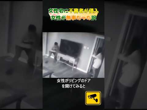 猛犬が女性宅侵入の不審者撃退#dog#shorts#pitbull #犬#respect #rescue #ピットブル