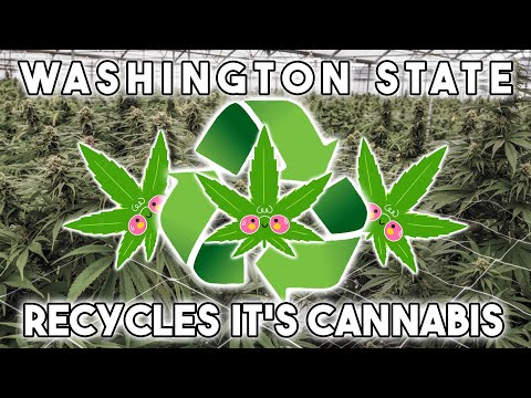 Washington State Recycles its Cannabis