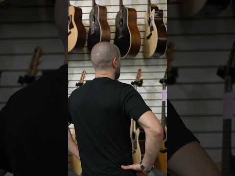 This Guitar Shop in Melbourne, Florida is wild!