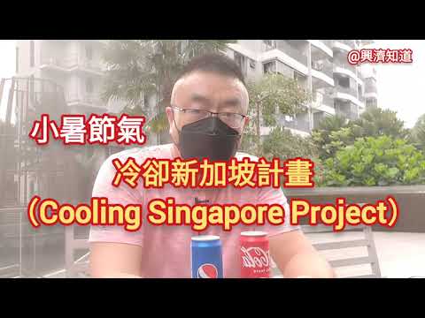 冷卻新加坡計畫（Cooling Singapore Project）與小暑節氣：爲什麽最熱的時間不在夏至，而在小大暑之間？|綠，還要更綠。|六月六，曬龍袍，曬書也行。