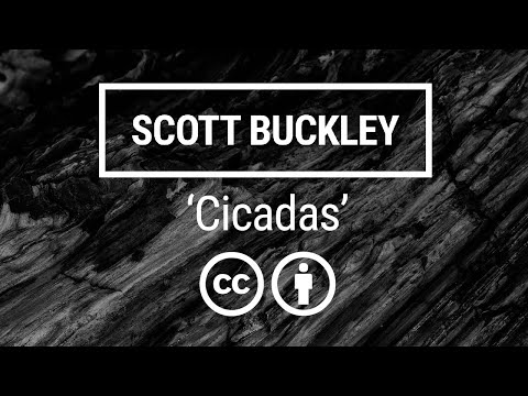 'Cicadas' [Ambient Neoclassical CC-BY] - Scott Buckley