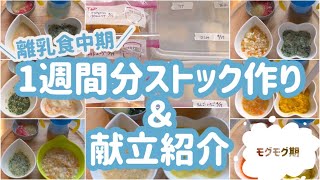 【離乳食中期】1週間分のストック作り＆献立／モグモグ期【生後7か月】【生後8か月】