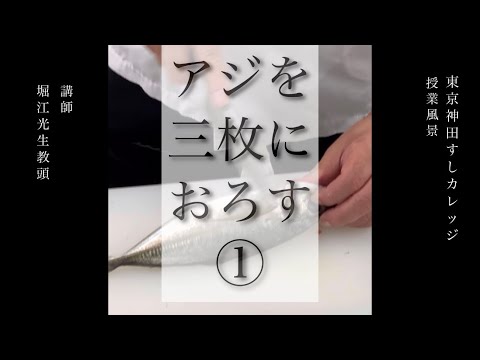 アジの三枚おろしを①〜③まで一挙公開！