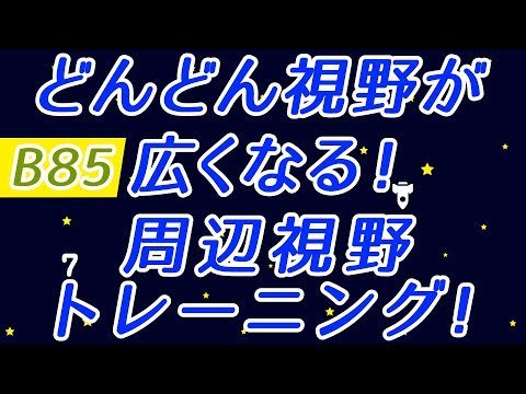 【Daily Eye Training】目指せアスリート！動体視力/周辺視野UP！vol.085