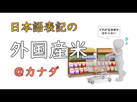 カナダで偽日本米!?　日本で減反＆米でギャンブルしている間に、北米では日本ブランドを利用　#米 #お金 #令和の米騒動 #米騒動