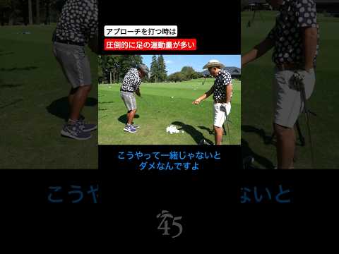 アプローチは手ではなく足の運動で打つものです #片山晋呉 #golf #ゴルフ #shorts