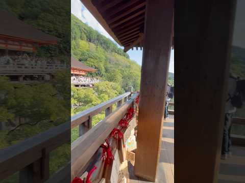 歩いて清水寺へ15 (Walk to Kiyomizudera )#清水寺#kiyomizudera