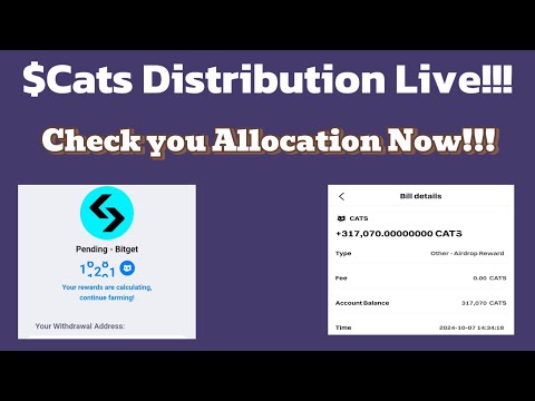 CATS Token Distribution LIVE! Check Your Allocation Now! ||  Listing Price Revealed!