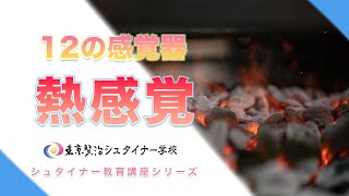 心の中の感覚器である熱感覚とは？【シュタイナー教育講座】（21）