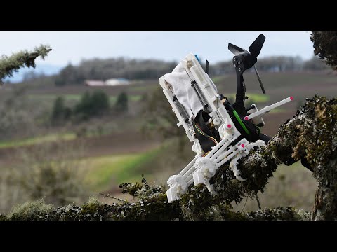 This drone has legs: Watch a flying robot perch on branches, catch a tennis ball in mid-air