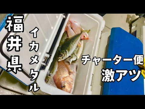 福井県で船をチャーターして釣りをする方法