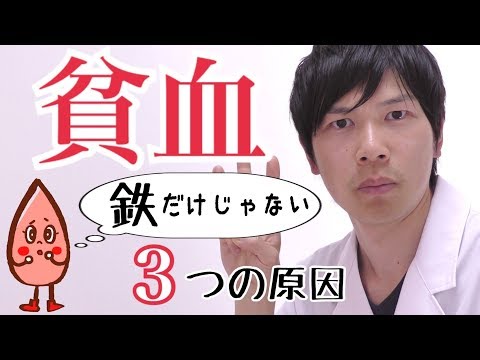 【貧血】鉄分摂っても貧血が良くならない本当の秘密。貧血の原因３つ。鉄欠乏性貧血以外！【前編】