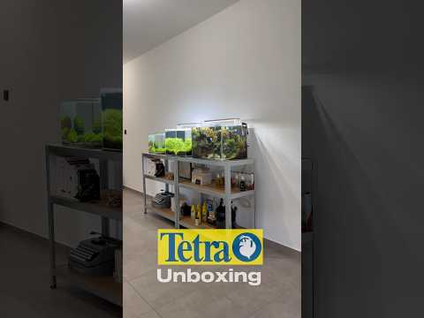 Unboxing #aquascaping #aquarium #aquascape #fish #plantedtank #fishkeeping #bettafish #aquariumfish