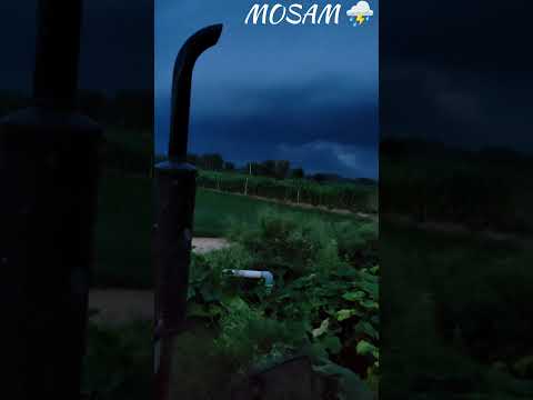 MOSAM KHARAB 😮‍💨#farming #farminglife #trendingshorts #viralshort #youtubeshorts #shorts