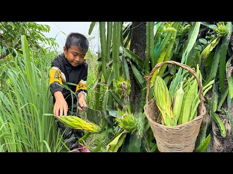 Dragon flower, Lady finger, Long beans cooking with country style - Chef Seyhak