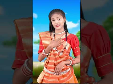 सुवा ले जा सन्देश मोर पिया के देश || Shrishti Nirmalkar #shortsvideo #newshorts #viralvideo #suwa