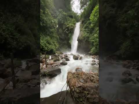 Waterfall nature 😍...... #waterfall #mountains #darjeeling #kolkata #india