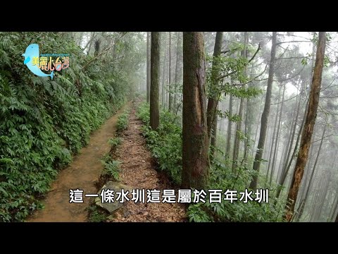 【宜蘭員山鄉】雙連埤古水圳修復｜環境保護｜405｜#美麗心台灣