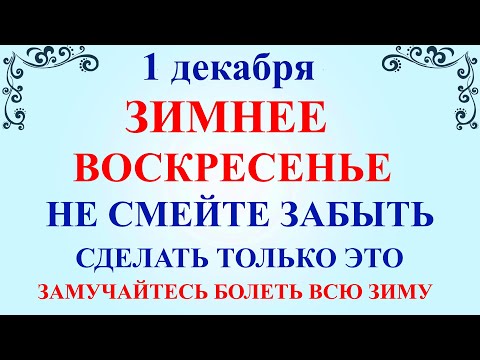 1 декабря Первый День Зимы, День Платона и Романа. Что нельзя делать 1 декабря. Народные традиции