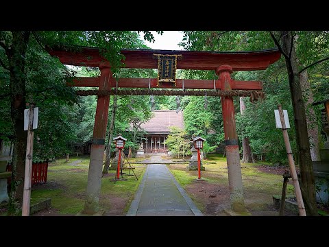 Walking tour Funadsu Shrine Japan [4KHDR] 散策 県指定文化財 舟津神社 福井県鯖江市