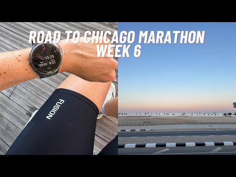 Road to Chicago Marathon 2024 - Week 6 of Training