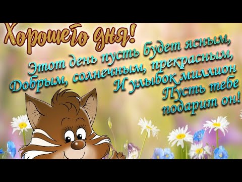 С Добрым Летним Утром тебя ! Классная песня и позитив! Шикарная, музыкальная открытка с пожеланиями!