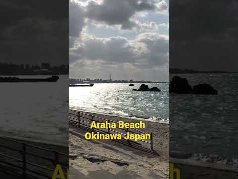 RnR at Araha Beach, Okinawa Japan