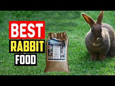 ✅Best Rabbit Food in 2023