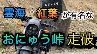 雲海・紅葉が有名なおにゅう峠をバイクで走破❗️#バイク#ツーリング#ソロツーリング#旅行#峠#おにゅう峠#滋賀県#福井県#雲海#紅葉#夏ツーリング#県境