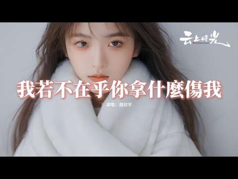 趙欣宇 - 我若不在乎你拿什麼傷我『你錯過滿眼都是你的人，我路過不曾珍惜我的人，我只是愛錯了狠心的人，你才是那個該遺憾的人。』【動態歌詞MV】