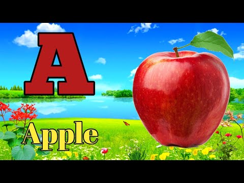 One two three, 1 to 100 counting, ABCD, A for Apple, 123 Numbers, learn to count, Alphabet a to z