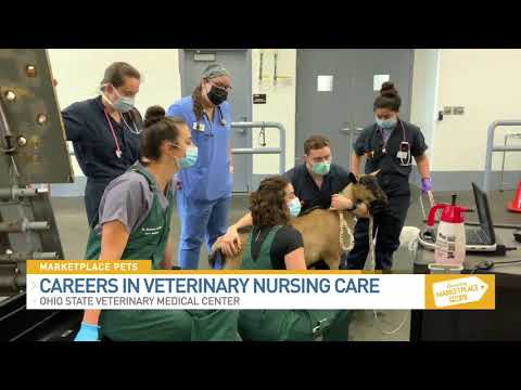 Ohio State Veterinary Medical Center - Now Hiring! 062221