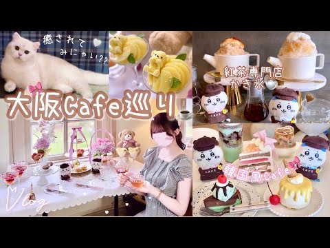 【Vlog】ちいかわ＆ハチワレちゃんと大阪カフェ巡り🍰8店舗紹介🎀‎アザラシと猫ちゃんが可愛すぎるので癒されたい方絶対見て…🐈‍⬛🦭‎🤍