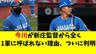 【日ハム】今川優馬が１軍に呼ばれない理由、ついに判明する