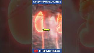 You Have 3 Kidneys After a Transplant! 😲 #shorts #healthfacts #medicalscience #kidneytreatment