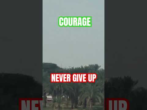 Courage #nevergiveup #trytryagain #nopainnogain #viral #video #foryou #youtubeshorts #video #foryou