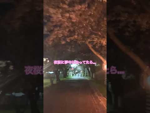 夜桜スポット